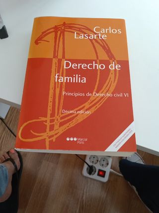 Principios de Derecho civil Tomo VI: Derecho de...
