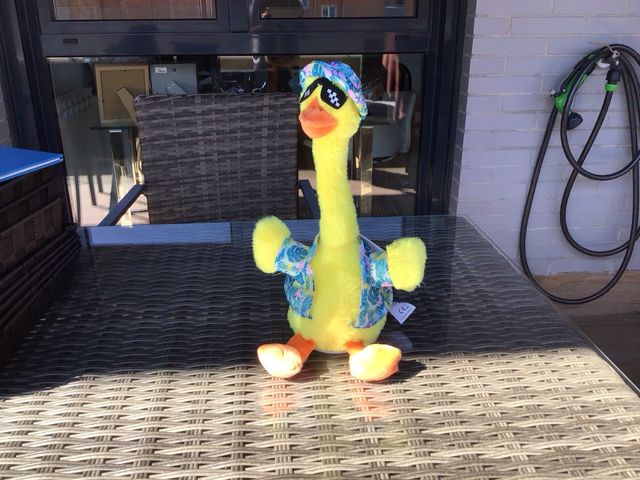 Pato peluche Repetidor del Ale-Jop