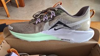 Zapatillas Nike Trail Pegasus 5 NUEVAS