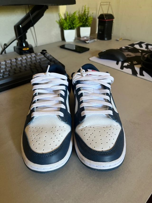 Nike Dunk Low Retro Azul - Nuevas