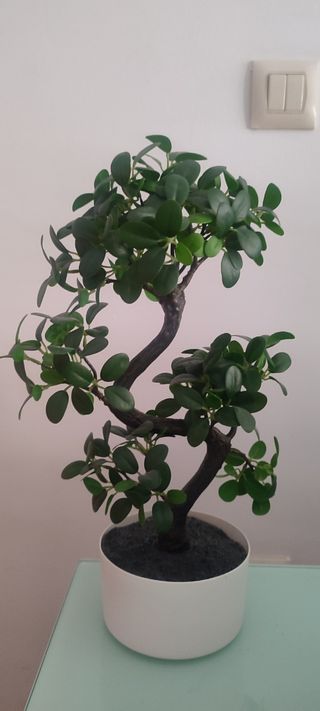 Bonsái artificial IKEA