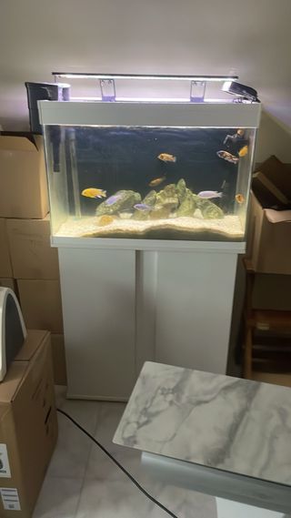 Acuario 180 litros- Blanco