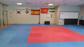 Tatami 126 m² blu e rosso (1 cm)