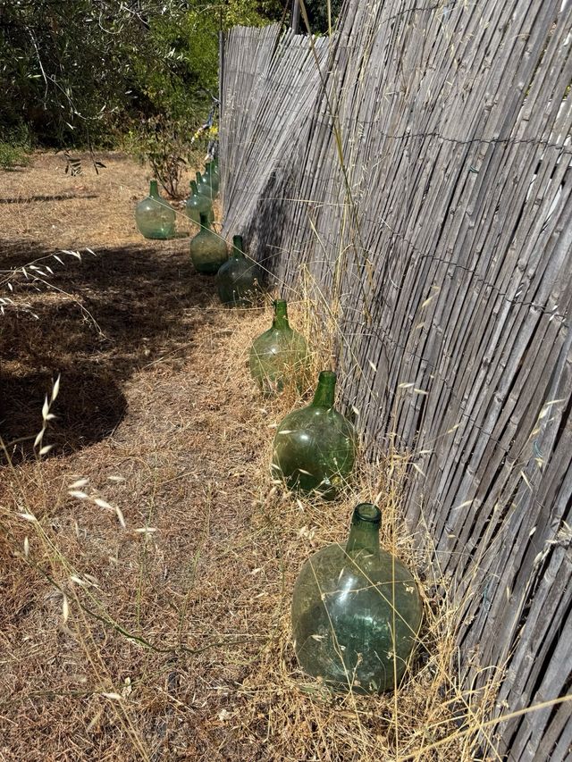 Damajuana vidrio antigua