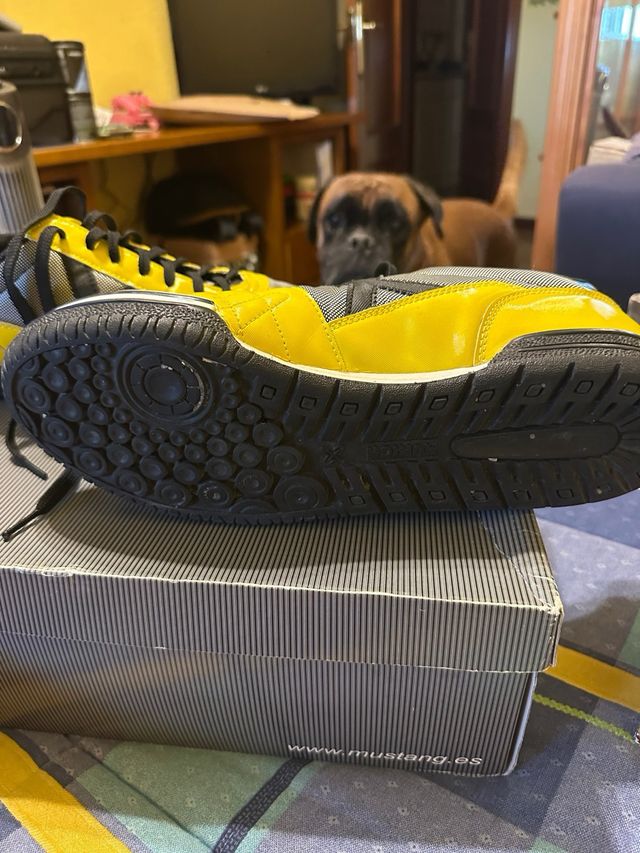 Zapatillas Munich amarillas y negras. Talla 46