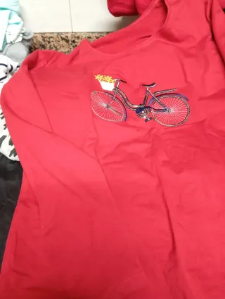 Lote 30 prendas mujer y 4 pañuelos/bufandas