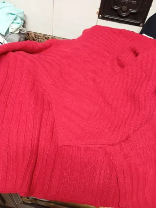 Lote 30 prendas mujer y 4 pañuelos/bufandas