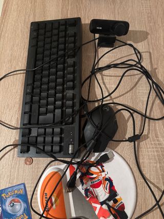 Teclado, ratón y cámara.