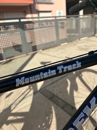 Bicicleta Trek Mountain Track