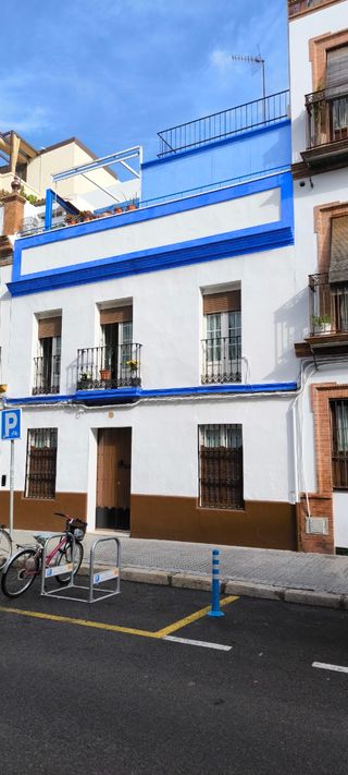 Pintor profesional sevilla