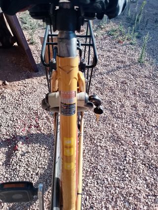 Bicicleta de paseo clásica