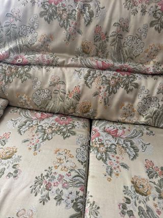 Sofás 3 y 2 plazas - beige, floral