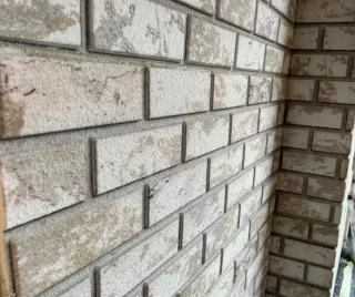 Paneles decorativos aislante térmico y antihumedad