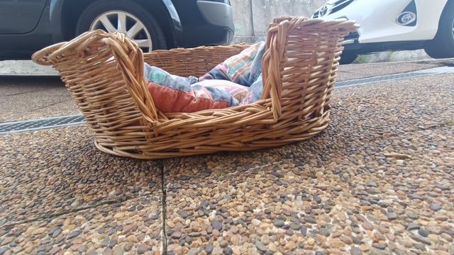 Cama mimbre perro