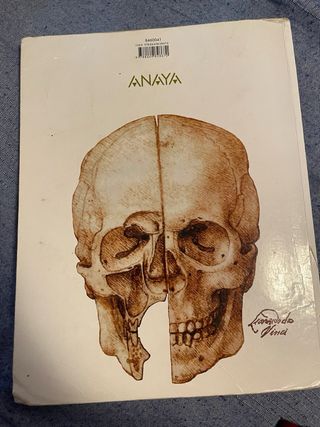 Anatomía Aplicada.