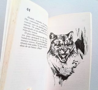 Perdido amazonas+tribu perdida+supervivencia monta