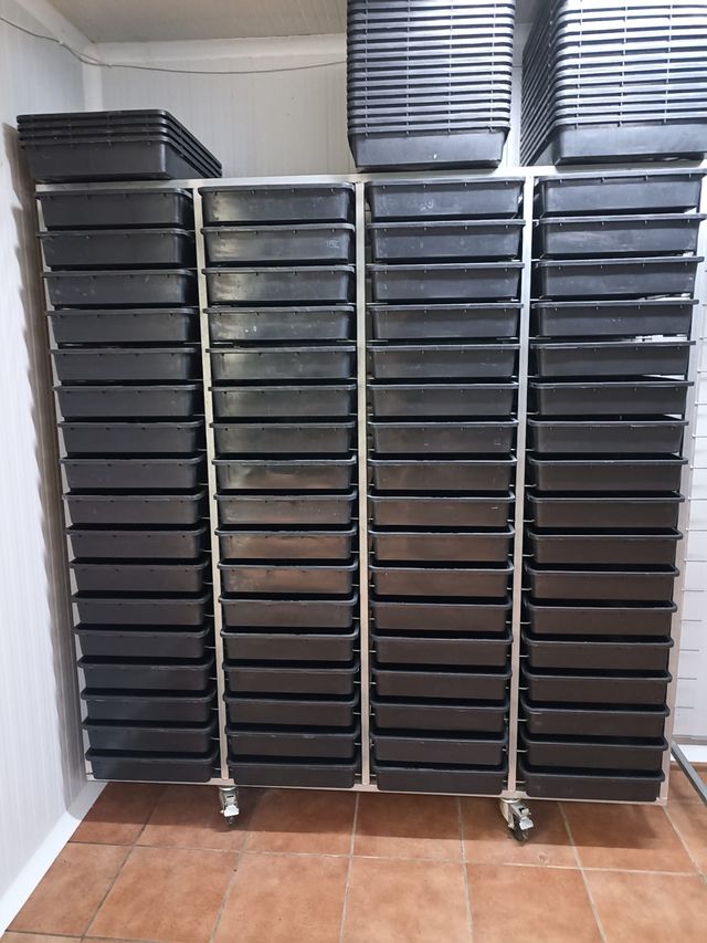 Carros metálicos con 68 bandejas