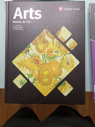 ARTS (HISTORIA DE L'ART) AULA 3D