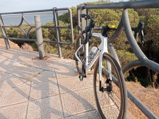 Orbea M31i Team: Bicicleta Carbono talla 53