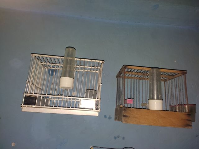 Jaulas pajaros antiguas (2)