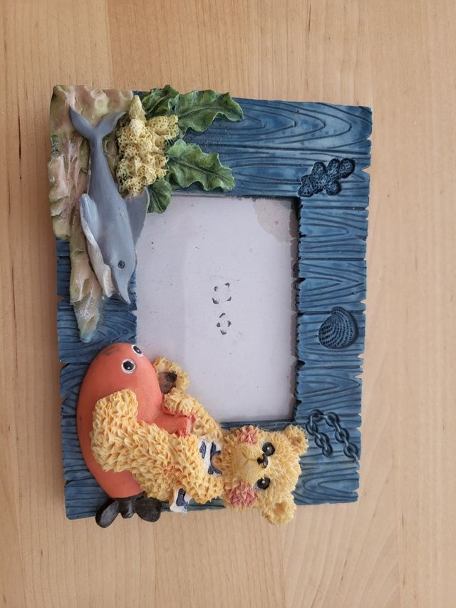 Marco fotos osito marino