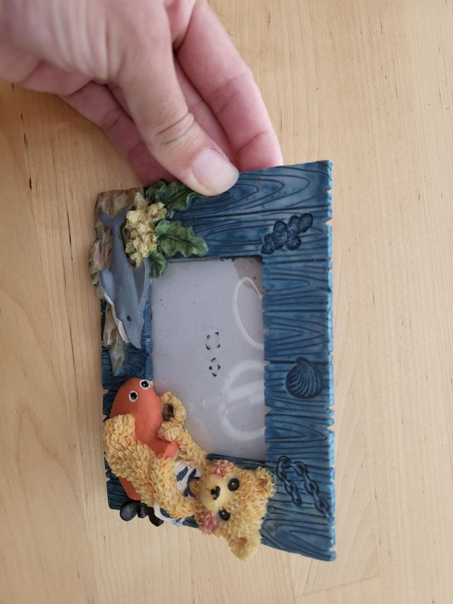 Marco fotos osito marino