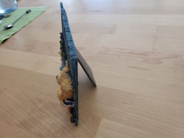 Marco fotos osito marino