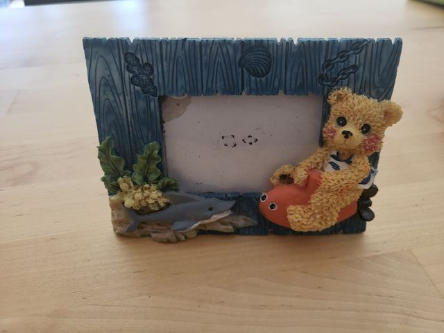 Marco fotos osito marino