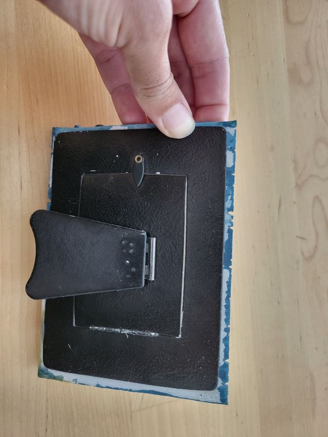 Marco fotos osito marino