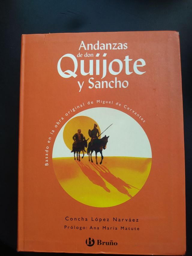 Andanzas de Don Quijote y Sancho (Spanish Edition)