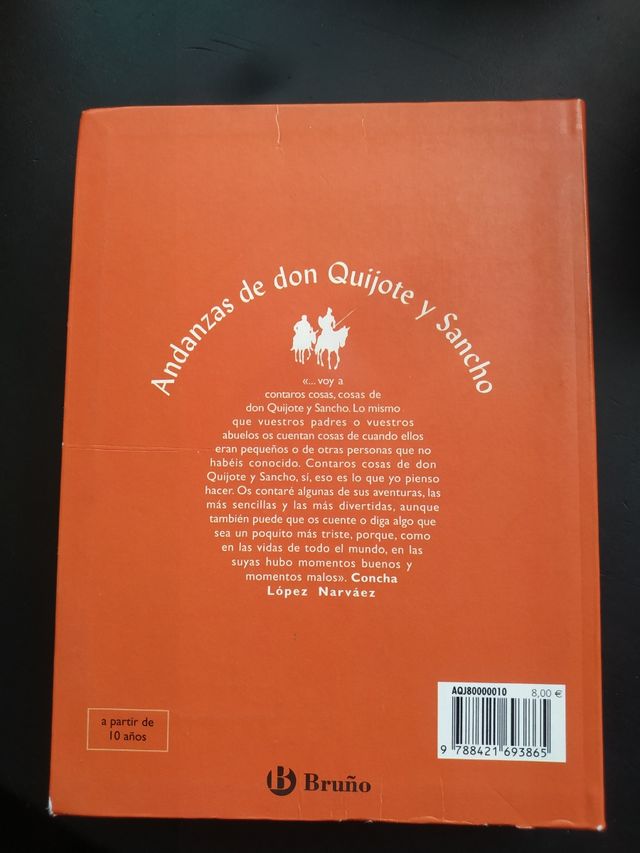 Andanzas de Don Quijote y Sancho (Spanish Edition)