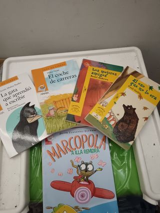 Lote de libros 