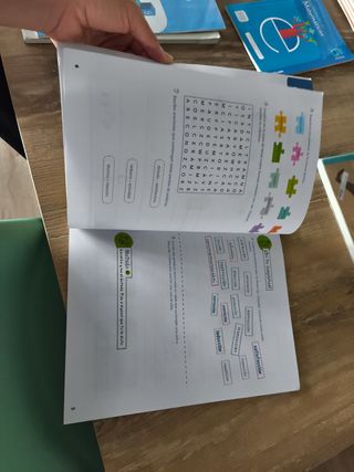 Ortografía 9. Anaya Visual Mente