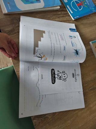 Ortografía 9. Anaya Visual Mente