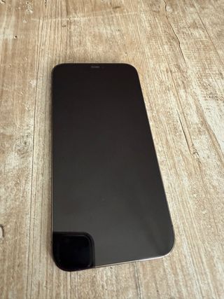 iPhone 12 Pro Max 256 GB Grigio siderale