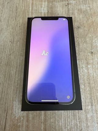 iPhone 12 Pro Max 256 GB Grigio siderale
