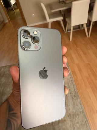 iPhone 12 Pro Max 256 GB Grigio siderale