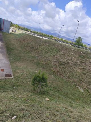 jardinero/desbroser parceles solares/ el fincas