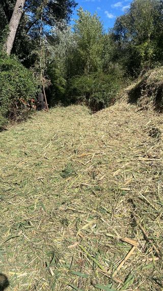 jardinero/desbroser parceles solares/ el fincas