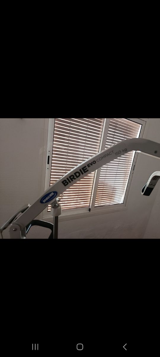 Grúa eléctrica BIRDIE Evo Compact 150 kg