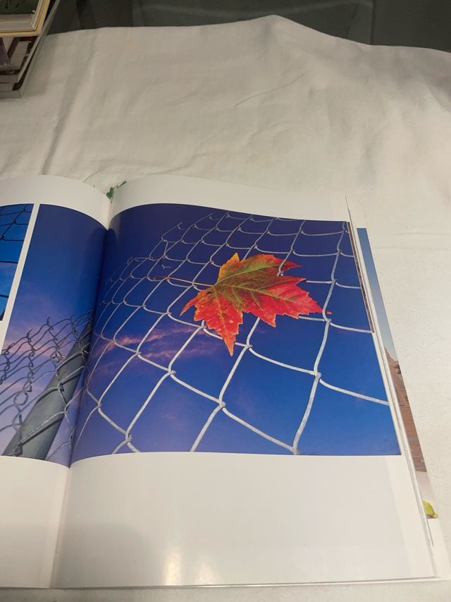 LOS SECRETOS DE LA FOTOGRAFÍA CON FLASH: CÓMO H...