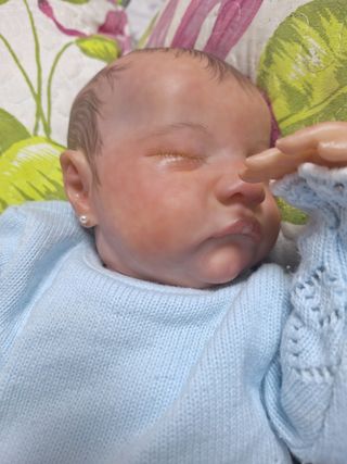 Bebés Reborn (2)