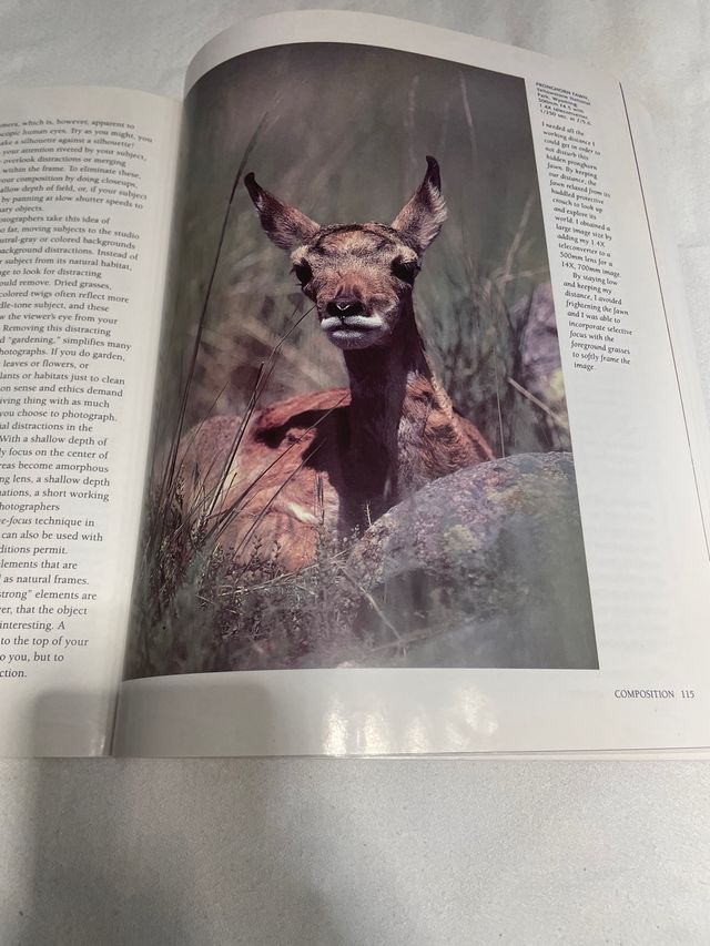 The Complete Guide to Wildlife Photography/How ...