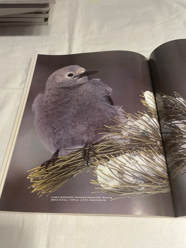 The Complete Guide to Wildlife Photography/How ...