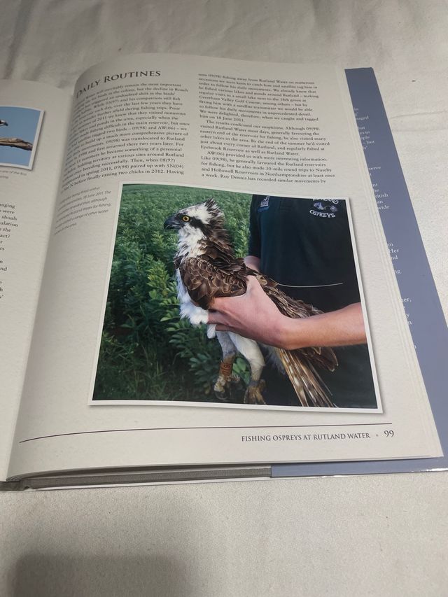 The Rutland Water Ospreys