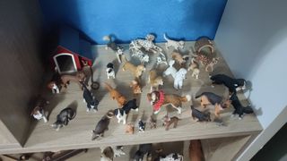 Collezione animali schleich