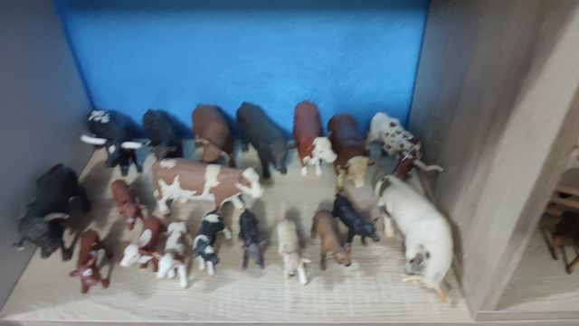 Collezione animali schleich