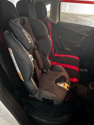 Silla coche Penguin Grupo 1/2/3