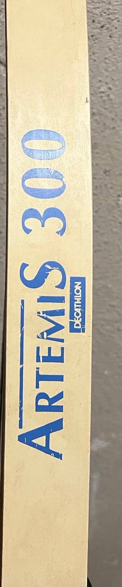 Arco Artemis 300 + Flechas