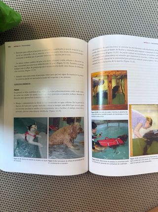 manual de fisioterapia en pequeños animales